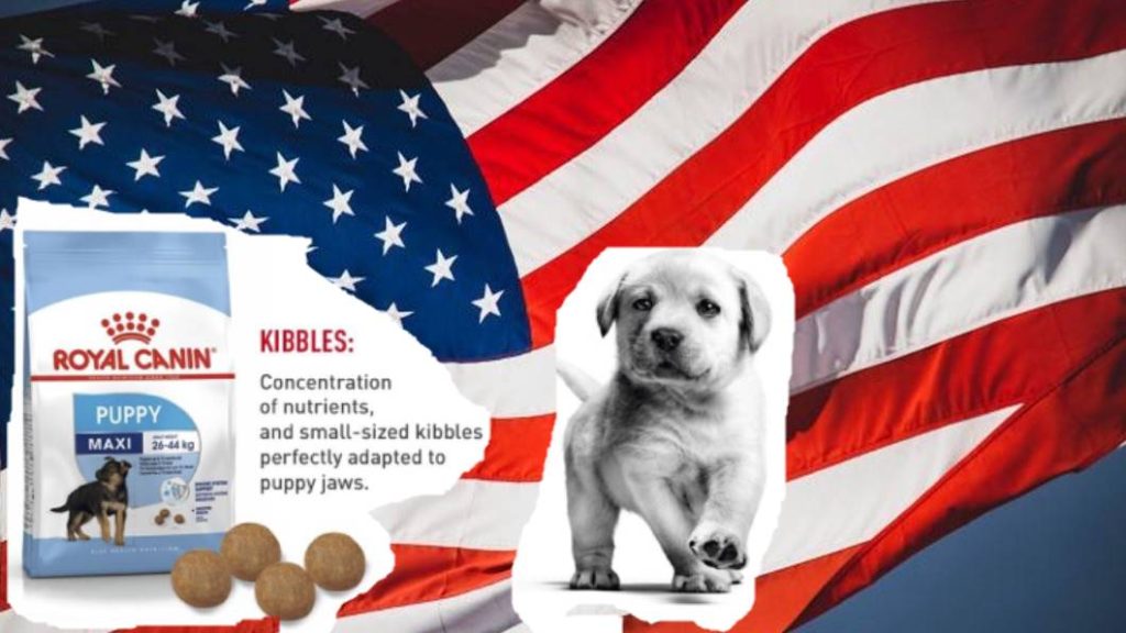 Canin Dog Food Puppy: Free Visa Sponsorship Jobs, and How to Apply